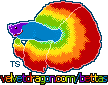 velvetdragon.com/bettas