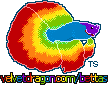 velvetdragon.com/bettas