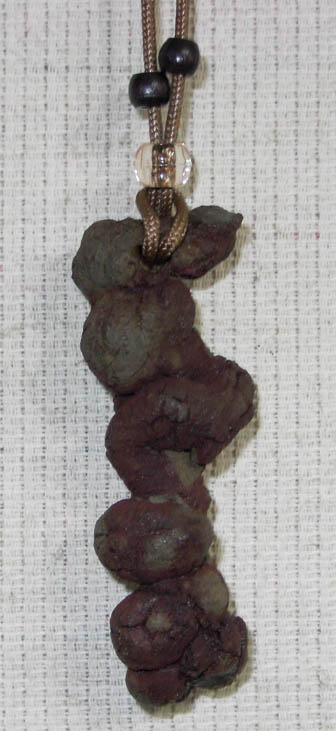 coprolite01