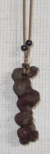 coprolite02