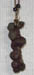 coprolite01