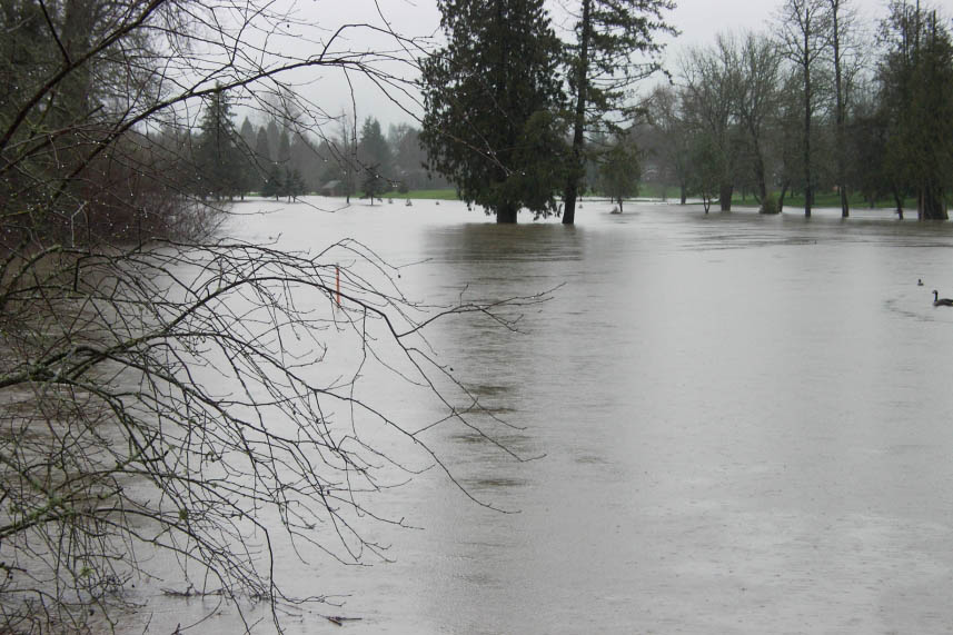 rock_creek_course