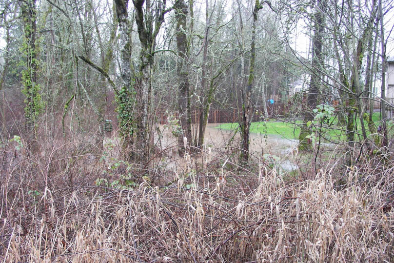 west_union_rd_backyards