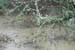 side_of_the_blvd
