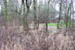 west_union_rd_backyards