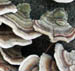2003-02-21e